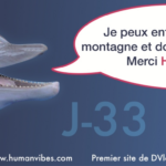 Avis: Lancement officiel du site Humanvibes  J-33