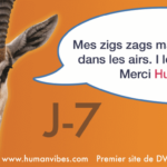 Avis: Lancement officiel du site Humanvibes  J-7