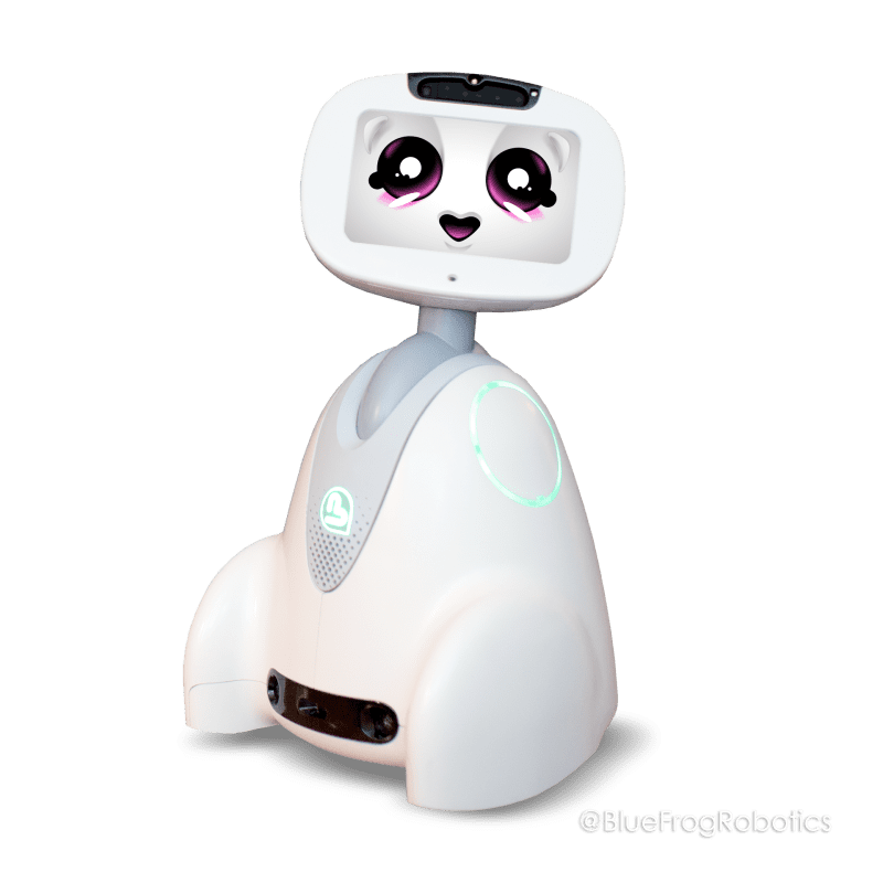 Interview du « Tac au Tac » de Buddy le robot émotionnel