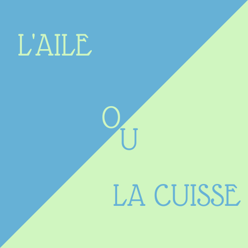 L’interview de « L’aile ou la cuisse » de Michel Bussi