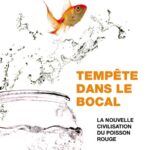 « Tempête dans le bocal » de Bruno Patino chez Grasset